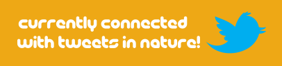 Currently Connected With Tweets in Nature-Slogan